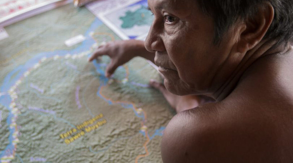 Amazônia sociedade anônima