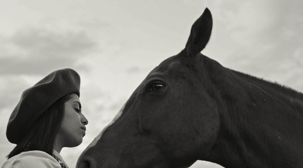Les Cavaliers des terres sauvages
