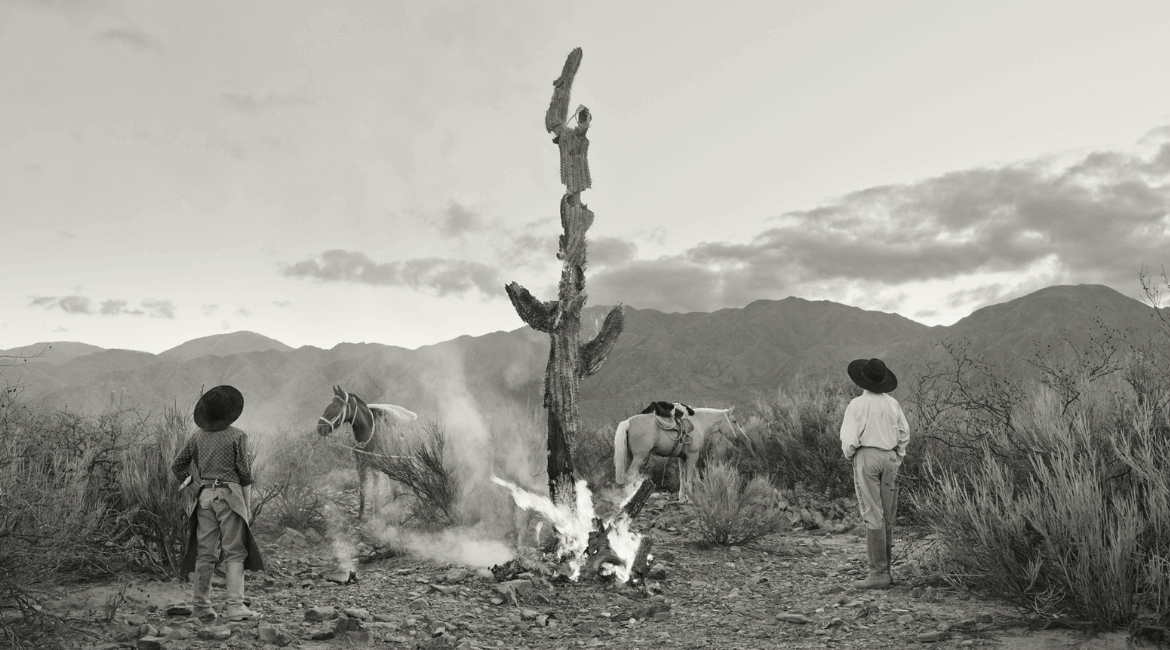 Les Cavaliers des terres sauvages