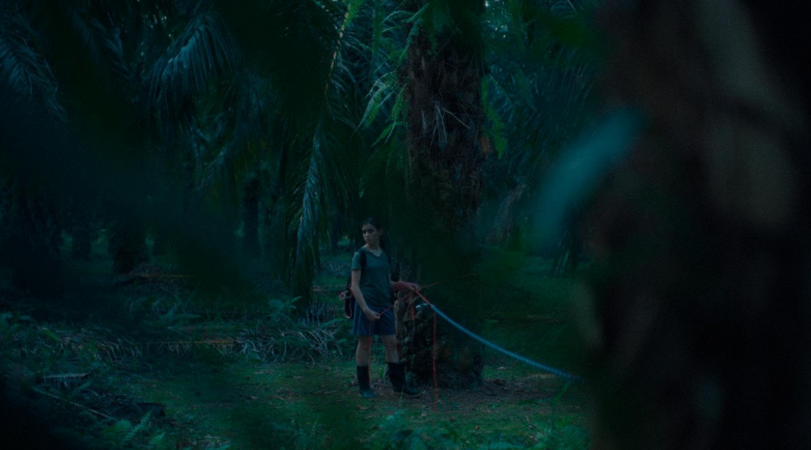 Si no ardemos, cómo iluminar la noche