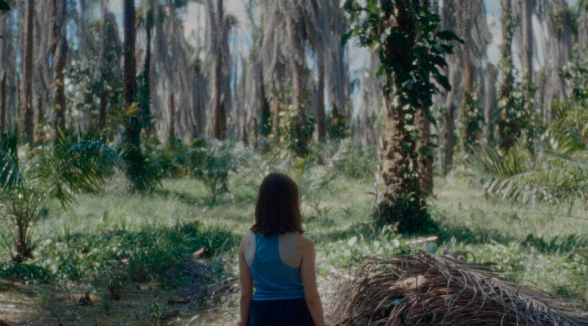 Si no ardemos, cómo iluminar la noche